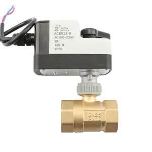 Micro Switch Driven Control Mini Motor Long Life Cycle AC 220 V and AC24V Electric Water Ball ODM Normal Temperature Ball VALVES