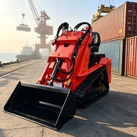 Chargeuse compacte sur pneus avec garantie d'un an sur les composants principaux et option de type chenilles ou roues pour divers terrains