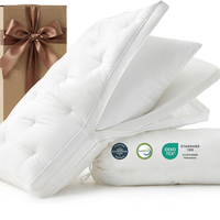Oreiller de lit ergonomique de luxe moderne et personnalisable en mousse à mémoire de forme respirante pour dormeurs sur le côté et sur le dos