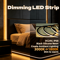 Bande LED néon noire 24V Ra95 à intensité variable, double blanc intelligent, 1800K-3000K, IP67, lumière douce pour chambre d'hôtel et éclairage d'ambiance