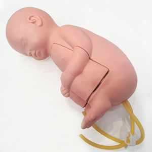 Modelo de punción lumbar neonatal ADA-CK34001, maniquí suave para el cuidado de la punción en bebés, para la formación de enfermeras en ciencias médicas. - Product Image 4