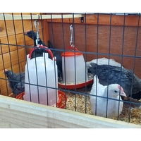 YYX 1kg 3kg 6kg 9kg Équipement d'élevage de volailles, Baril d'alimentation, Seau, Mangeoires pour animaux, Mangeoires à poulet en plastique commerciales pour volailles