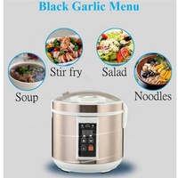 Appareils de cuisine compacts AZK115 pour une personne, appareil au design soigné, fabricant d'ail noir/machine à ail noir fermenté