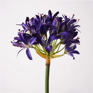 Flor púrpura Artificial Vintage europea de alta calidad Agapanthus <span class=keywords><strong>Africanus</strong></span> lirios flores de lirio africano de seda para decoración de boda - Product Image 5