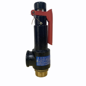 Válvula de seguridad de elevación completa de hierro fundido de 16 bar, tipo resorte, reductora - Product Image 3