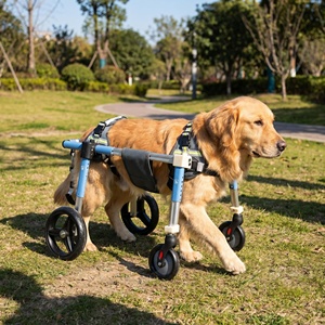 <span class=keywords><strong>Silla</strong></span> <span class=keywords><strong>de</strong></span> <span class=keywords><strong>Ruedas</strong></span> Ajustable <span class=keywords><strong>para</strong></span> <span class=keywords><strong>Perros</strong></span>, <span class=keywords><strong>para</strong></span> Rehabilitación <span class=keywords><strong>de</strong></span> Patas Traseras, Ligera, <span class=keywords><strong>de</strong></span> Aluminio, Ayuda <span class=keywords><strong>de</strong></span> Movilidad <span class=keywords><strong>para</strong></span> <span class=keywords><strong>Perros</strong></span> Paralizados o Discapacitados - Product Image 4