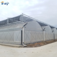 Système de serre agricole personnalisé à grande envergure en film plastique PE multi-chapelle pour les projets agricoles au Kenya, au Nigéria et en Afrique du Sud à faible coût