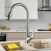 Robinet de cuisine en acier inoxydable avec douchette extractible, mélangeur chaud et froid, chrome gris, robinet de cuisine avec douchette extractible