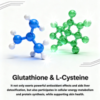 Prix d'usine Bandes de collagène au glutathion de qualité alimentaire à dissolution orale - Patch vitaminique éclaircissant pour la peau OEM pour l'exportation transfrontalière