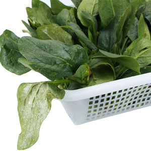 Cesta <span class=keywords><strong>de</strong></span> drenaje <span class=keywords><strong>de</strong></span> plástico con ventilación para mariscos, cesta <span class=keywords><strong>de</strong></span> plástico <span class=keywords><strong>de</strong></span> grado alimenticio <span class=keywords><strong>de</strong></span> buena calidad, barata - Product Image 6