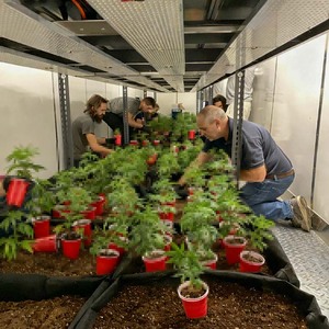 Camas de cultivo móviles, luz de cultivo, control climático, irrigación integrada para plantaciones de alta eficiencia en contenedores de cultivo. - Product Image 4