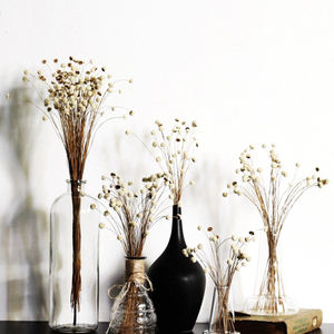 Chrysanthème <span class=keywords><strong>bouton</strong></span> de fleur <span class=keywords><strong>séchée</strong></span> de haute qualité, fleur éternelle pour mariage, fête des mères, présenté dans un coffret cadeau, matériaux floraux - Product Image 4