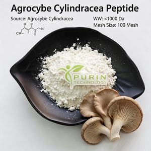 Péptido <span class=keywords><strong>de</strong></span> Agrocybe Cylindracea <span class=keywords><strong>de</strong></span> Bajo Peso Molecular, Oligopéptido <span class=keywords><strong>de</strong></span> Hongo <span class=keywords><strong>de</strong></span> Té, Antioxidante, Materia Prima para Cosméticos y Suplementos para la Salud - Product Image 2