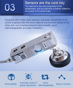 SCS scala da pavimento scala per animali da 1-3ton con Display Rs232 - Product Image 6