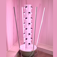 Système hydroponique vertical efficace pour la culture en serres agricoles, adapté aux petites exploitations agricoles