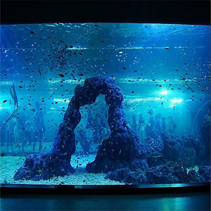 Forma personalizzata cilindro rettangolo trasparente acquario di pesce serbatoio di vetro 2021 cina acquari e accessori 5l serbatoio di acqua di plastica pesce - Product Image 5