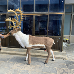 Decoraciones Navideñas para Exteriores, Juguetes <span class=keywords><strong>de</strong></span> Animales Grandes, Adorno <span class=keywords><strong>de</strong></span> Reno <span class=keywords><strong>de</strong></span> Tamaño Real - Product Image 3