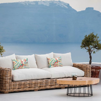 Ensemble de canapés de jardin en rotin au design moderne et exclusif avec table basse pour salle à manger et usage en cour, mobilier de jardin extérieur en saule