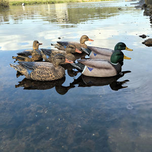 Realistic Lifelike <b>Hunting</b> <b>Decoy</b> Duck - Floating Outdoor Water Garden Decor <b>Decoys</b> in Bulk - Product Image 4