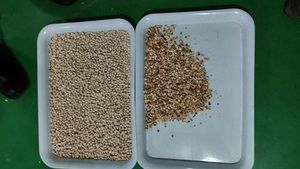 เครื่องคัดแยกสีเมล็ดงาดำ5รางเครื่องคัดแยกเมล็ด CCD - Product Image 6