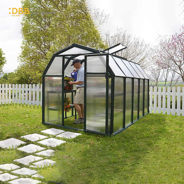 6X6 горячая Распродажа садовый зеленый дом Рион пластиковый зеленый дом Ecogrow теплица темно-поликарбонатный зеленый дом