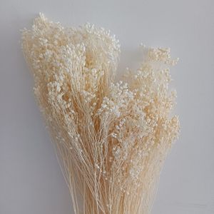 Yunnan fábrica al por mayor 50g ramo de flores secas reales Flor de escoba conservada seca natural para decoración de eventos en casa - Product Image 4