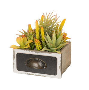 Box 6.25 In. H Succulent Plants in Wooden Plant Pot Used with Flower/green Plant Home Decoration Accept Customized Size Support