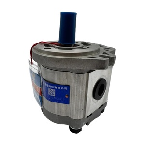 Pompe hydraulique à engrenages haute pression Hefei 1 étage, déplacement 4-20 ml/r, 0,75-1,5 CV CBW-F310/F312/F314/F320/F306/F316-ALP/CFP/<span class=keywords><strong>AFPL</strong></span> - Product Image 2