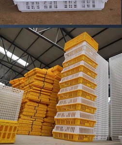 <span class=keywords><strong>Cage</strong></span> à poulets en plastique blanc/blanc-jaune, capacité de charge de 4,4 à 4,9 kg, équipement avicole assemblé - Product Image 5