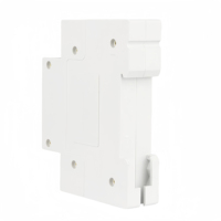 Kwh Disjoncteur de surveillance de mesure 1P + N 63A WIFI Smart Switch Tuya Smartlife Timer Relay MCB Energy Meter Smart Switch Home