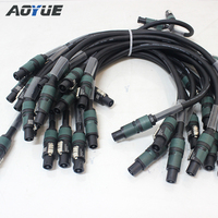 Câble de haut-parleur haute qualité 2,5 mm²/4 mm² x 2 broches/4 broches, longueur personnalisée 70 cm/5 m/20 m/25 m avec connecteurs Neutrik NL4 vers NL4 pour système line array