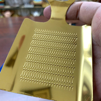 Presse-éminceur, râpe à gingembre, broyeur de wasabi, râpe à ail en acier inoxydable pour la maison, la cuisine et les restaurants