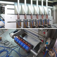 Machine d'emballage automatique multi-voies pour sachets de poudre d'électrolytes et de suppléments énergétiques, 6 lignes, pour poudre d'hydratation