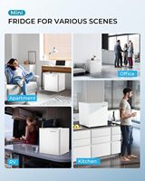 Prix d'usine Euhomy 46L Blanc Comptoir Mini Chambre Réfrigérateur Mini Boisson Énergisante Réfrigérateur Mini Réfrigérateur Réfrigérateur pour Chambre