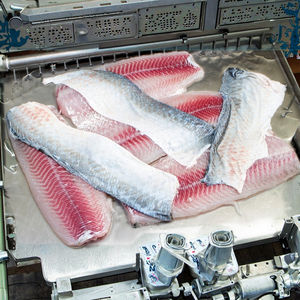 เครื่องสกินปลาอัตโนมัติเชิงพาณิชย์ประสิทธิภาพสูงสำหรับ<span class=keywords><strong>ปลา</strong></span>หลากหลาย<span class=keywords><strong>สาย</strong></span><span class=keywords><strong>พันธุ์</strong></span> - Product Image 4