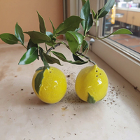 Salière et poivrière en forme de citron en céramique Objets décoratifs pour cuisine ou table