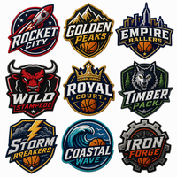 Écussons brodés en tissu chenille avec logo d'équipe de basketball, vente flash de luxe, pour vêtements et textiles de maison