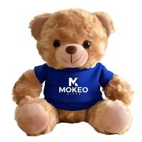 Ours en peluche personnalisé avec capuche, logo OEM, mascotte en peluche, jouets en peluche sur mesure pour cadeaux promotionnels