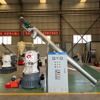 Machine à granulés de biomasse à haute productivité, motorisée 220V/380V 75KW, pour sciure de bois, paille, herbe, coques de riz