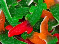 Bonbons gélifiés multicolores en forme de crocodiles, saveur fruitée acidulée, emballés individuellement, échantillon gratuit, vente en gros, OEM, directement de l'usine