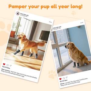 आकर्षक गैर-पर्ची कपास और कुत्तों के मोजे के लिए वरिष्ठ कुत्तों के लिए एंटी-लिकिंग डिजाइन, लकड़ी के फर्श के पालतू जूते - Product Image 5