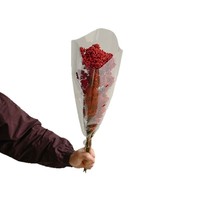 Bunga Beras Awetan Grosir, Bahan Bunga Alami untuk Florist, Toko Bunga, Buket Pernikahan, Rangkaian Bunga, Kerajinan DIY