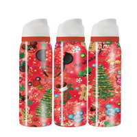 Bouteille d'eau personnalisée avec dessin animé, double paroi, isolée sous vide, anti-fuite, tasse de voyage portable, mug thermique d'extérieur pour enfants et adultes