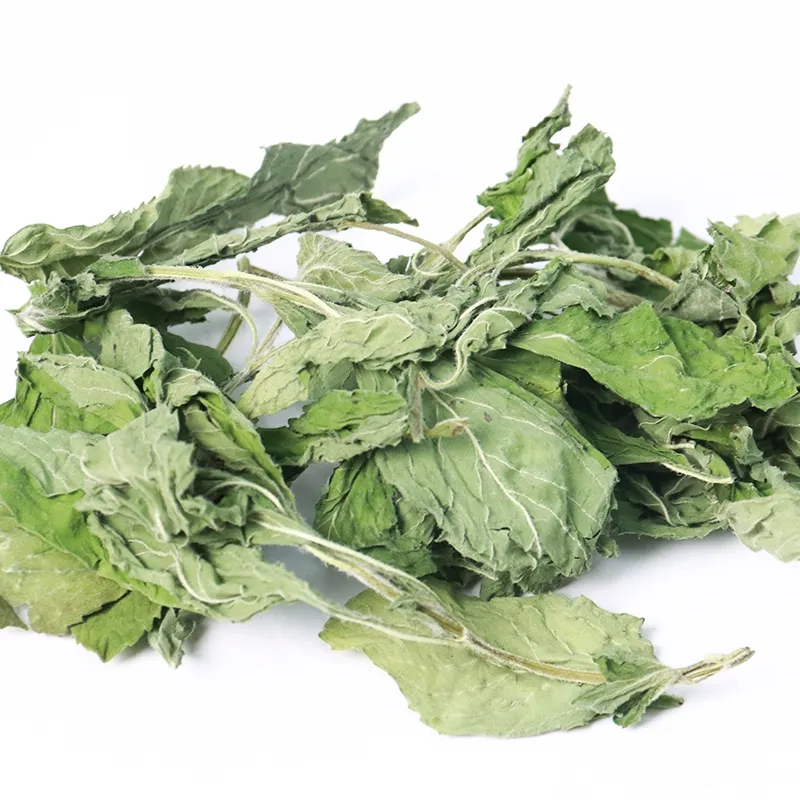 Groothandel Biologische Gezonde Mint Leaf Spearmint Thee Pepermunt Wintermint Laat Thee