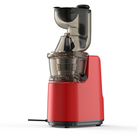 Oem Fabrikant Groot Kaliber Industriële Verse Wortelsap Pers Slow Juicer Machine Multifunctionele Hele Fruit Elektrisch