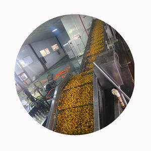 XMSD kastanye beku permintaan tinggi | Kastanye kupas IQF Premium Ideal untuk makanan ringan, memanggang & produksi kalengan - Product Image 5