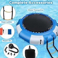Trampoline aquatique pour la maison, accessoire ultime pour l'été, matériau PVC, série TP, accessoires de jouets gonflables