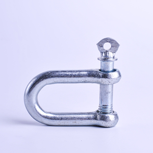 Herrajes de aparejo de alta calidad Grillete Dee de estilo europeo de acero inoxidable - Product Image 5