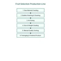Automatische fruitproductielijn met pasteurisator en mixer, capaciteit 1200-1600 kg/uur, vermogen 5500 kW