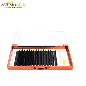 <span class=keywords><strong>Las</strong></span> pestañas caja de embalaje de etiqueta privada ruso Volumen de extensión de pestañas - Product Image 4